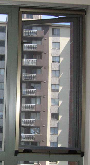 Outswing Window